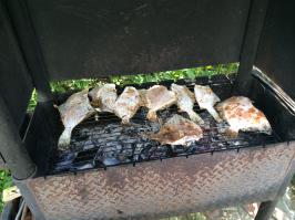 Подводная охота на камбалу