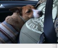 Нашла себе "полочку"