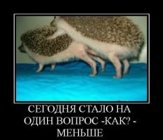 Такие детишки считают, что дети появляются от поцелуя мамы папой, причем детали их не интересуют в принципе, но не хочу спорить, бесполезно. 
По сути вашего вопроса, ответ я недавно видел. Не благодарите.