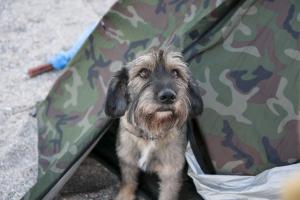 первая ночевка в палатке