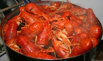 А еще вместо варить клубнику, пойти ловить раков речку или озерцо и после сварить да с пивком или просто так посмаковать, кто не пьет.