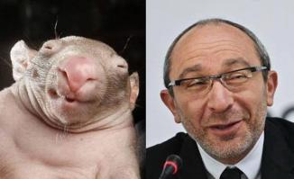 Кернес (мер харькова)