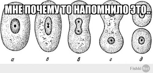 Тем, у кого день не задался, посвящается