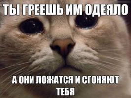 котоматрицы 