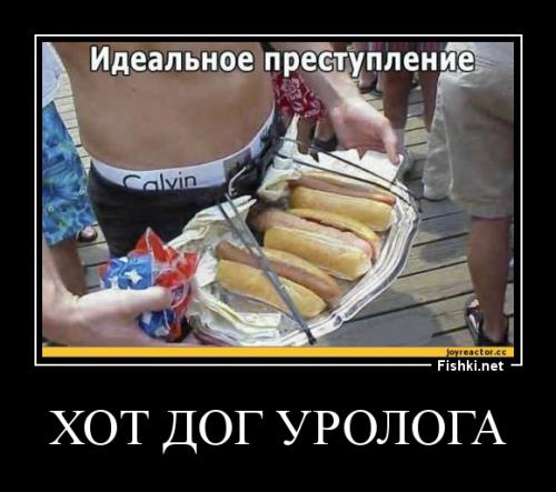 Хот-дог по-волгоградски