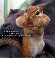 Автоприколы