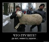 Просто взяли погрузили в багажник пацана и уехали 