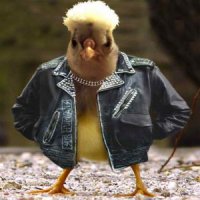 Неудачный день (3 фото)