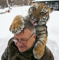 Тащь ст. лейтенант, тут эта! Тигр стоит...