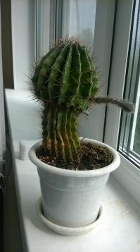 Вот мой опыт