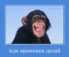 Подборка видео от 08.07.2014