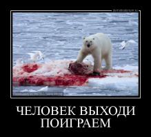 Любопытный мишка желает познакомиться 