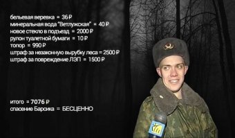 Кошачьи неудачи