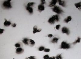 и вот эта фигня на потолке в подъезде: