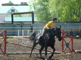 Самый красивый талисман у хабаровского ФК "СКА-Энергия"