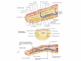 Уникальный фотопроект о том, что скрыто от наших глаз