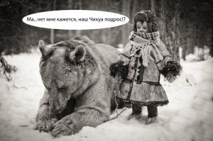 Маленькие дети и их большие собаки