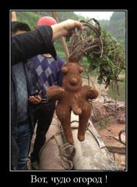 Они его, наверное, SEALEXом поливали.