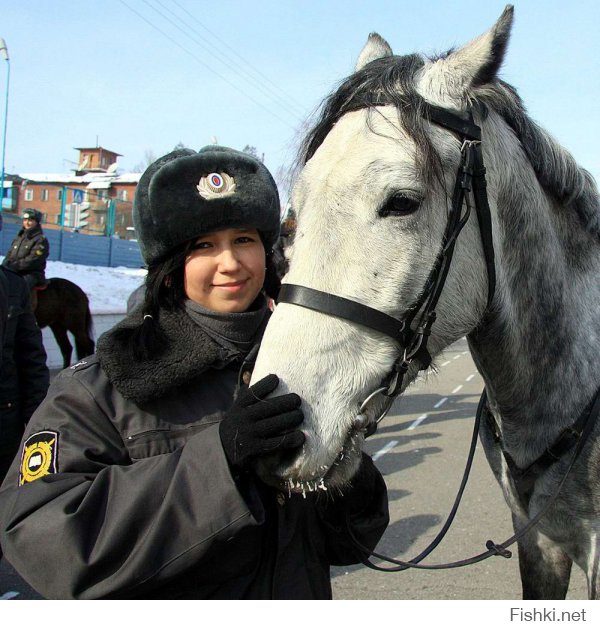 — Ну что, отец, невесты в вашем городе есть?
— Кому и кобыла невеста.
— Больше вопросов не имею!