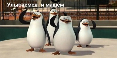 Зебра Марти, лев Алекс и Лунтик вломили пьяному 