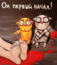 Драки котов подборки