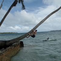 Фотоподборка за 29.01.2015