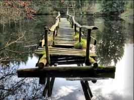 Мост "Как повезёт" с.Кошкодрипинск.