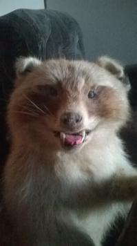 встретил в придорожном кафе