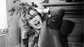 Хичкок одобряе