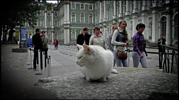 Добавлю от себя :