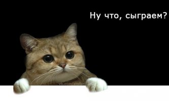 Лев открыл дверь машины