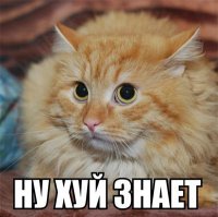 Какой пикап получился из Range Rover