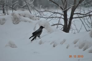 Не простой тюнинг-колхоз Chevrolet Lacetti