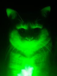 15 волшебных черно-белых фотографий