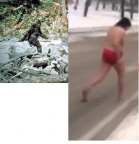 Кто побрил йети???
.
Походку не скроешь))