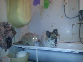 Получил по морде!