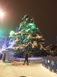 Фото с пл.Мочалова (Металлург) обычная,живая елка гораздо красиивее,чем типо наряженная фигня рядом. от нее ограждение справа немного попало в кадр.