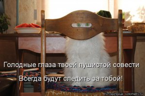 Попрошайки