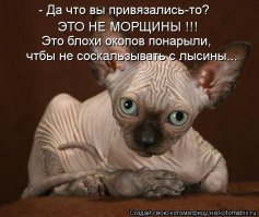 Такой милашка!