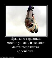 Подборка видео от 27.05.2014