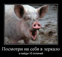 Политика на YOUTUBE