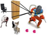 Наши соседи