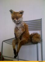 Когда разбудят.