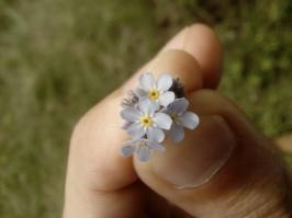 Фотоподборка за 02.12.2014