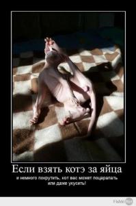 Фишкина солянка за 06.07.2014