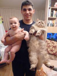 Какой-то уникальный кот. От первой кошки, которую я пытался пропылесосить в детстве, остался шрам на руке. Все последующие демонстрировали при звуке включения пылесоса всё что угодно; от выпрыгивания в произвольную сторону (в стену, в окно, в шкаф), до спонтанного отправления физиологических потребностей (ссались, блевали, гадили). Выпученные глаза и шерсть дыбом, короче. К нынешнему коту с пылесосом стараюсь не приближаться. 6кг весом и не-пойми-что в голове. Убьёт на х-х-хер.