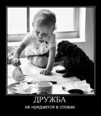 Свой среди чужих, чужой среди своих 