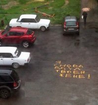 Немного картинок для поднятия настроения