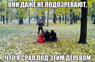 20 осенних "аткрыток"