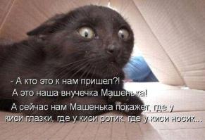 Реакция кота, который первый раз увидел ребенка 
